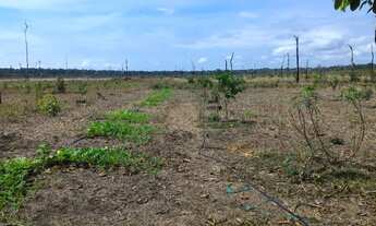 Imagem 3: Sitio de 21 Alqueires Baixei preço