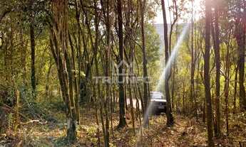 Imagem 3: SÍTIO com vista !!