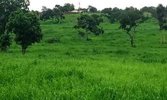 Imagem 5: Fazenda/Sítio 12,5 Alqueires a 98 km de (taquaruçu) Palmas-TO