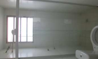 Imagem 5: BONGUE - PIRACICABA