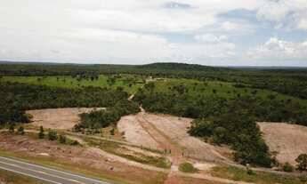 Imagem 2: Fazenda/Sítio 12,5 Alqueires a 98 km de (taquaruçu) Palmas-TO