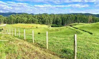 Imagem 2: Linda fazenda Fazenda / sítio com venda por R$6.200.000