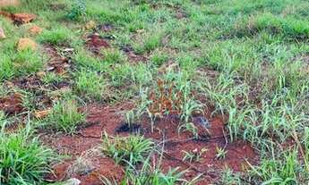 Imagem 2: Terreno à venda, 250 m² por R$ 112.000,00 - Lon Rita - Londrina/PR