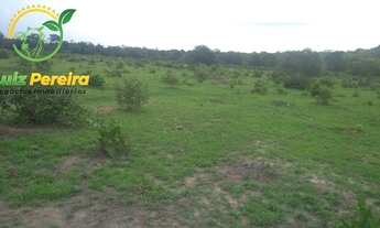 Imagem 3: FAZENDA À VENDA NO FORMOSO DO ARAGUAIA -TO - 2,008 HECTARES (DUPLA APTIDÃO