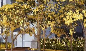 Imagem 3: DIFERENCIAIS VOCÊ ENCONTRA NO KZ SANTOS