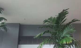 Imagem: Loja Square - Florianópolis- Sc401