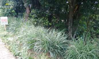 Imagem 3: Terreno com 4 Dormitorio(s) localizado(a) no bairro em Ivoti / Ref.:191315