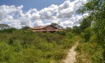 Imagem 2: Terreno com 43 Tarefas