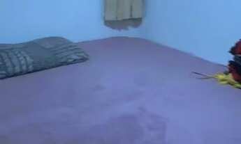 Imagem 4: Procuro moça, P/ dividir APTO na PAJUÇARA