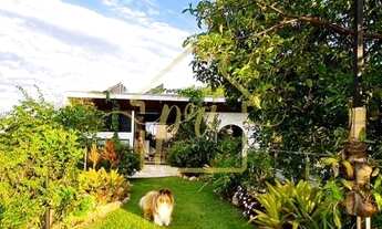 Imagem 3: São Paulo - Casa Padrão - Vila Ipojuca