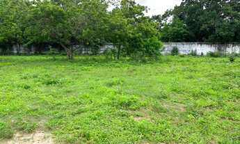 Imagem 3: Terreno em Uruburetama