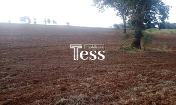 Imagem: Vende 02 Alqueires de Terra plana, próximo