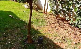 Imagem 2: Sobrado com 3 dormitórios à venda, 254 m² por R$ 2.000.000 - Jardim Noemia - Condomínio Sã