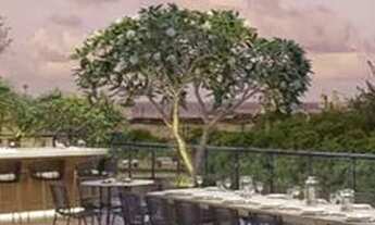 Imagem 6: Aurora Prince Apartamento com 4 dormitórios