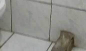 Imagem: Alugo quitinet