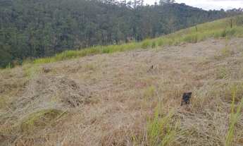 Imagem 3: Oferta Imperdível! Terreno 1000m² em Mairiporã por R$39.900, só até 06/08!