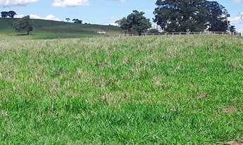 Imagem 2: Fazenda à venda, 1016400 m² por R$ 565.000,00 - Chácara Paraíso - Jacarezinho/PR