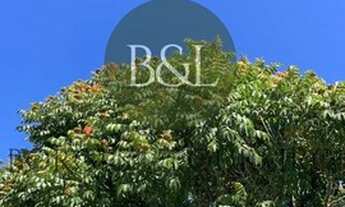 Imagem: PETRóPOLIS - Casa Padrão - Carangola