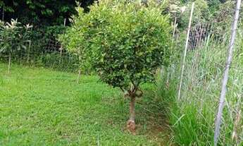 Imagem 9: Casa com 4 dormitórios, 289 m² - venda por R$ 1.272.000,00 ou aluguel por R$ 5.100,00/mês