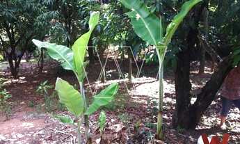 Imagem 4: Terreno - Sousas - Campinas