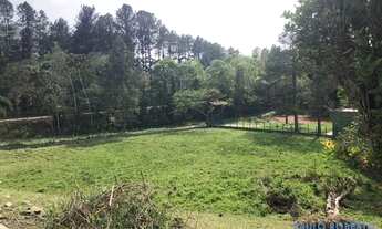 Imagem 6: SÍTIO - CENTRO - SP