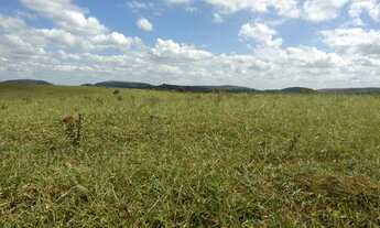 Imagem 4: Fazendinhas em Cordisburgo 20.000m²