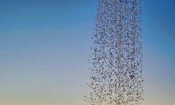 Imagem: Aluguel de quarto