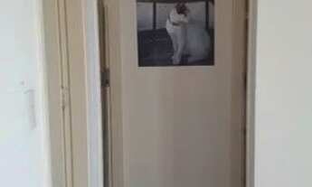 Imagem 5: Apto em ótima localização