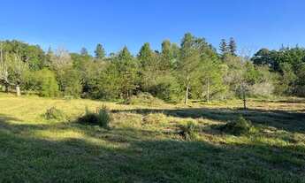 Imagem 11: Sítio Plano E Com Nascente Para Fazer Açude. ROB:150