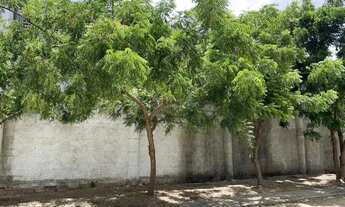 Imagem 5: Área Galpão para Locação em Caucaia, Pacheco