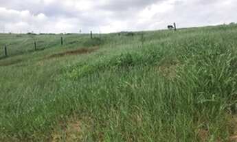 Imagem 3: Vendo Chácara na Serra -Tel-