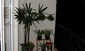 Imagem 2: Apartamento Locação Higienópolis 59 m² 2 Dormitórios