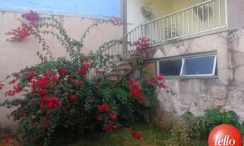 Imagem 5: São Paulo - Casa Padrão - Vila Formosa