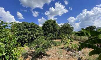 Imagem 7: CEDRAL (SP) Chácara com 3.831m2