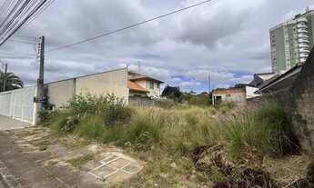 Imagem 4: Terreno ZC1 à Venda - Centro - São José dos Pinhais/PR