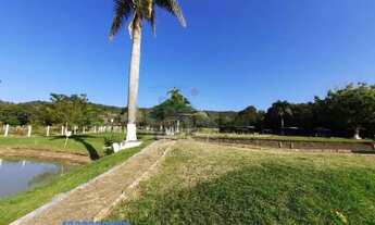 Imagem: Comercial para Venda em Londrina, Limoeiro