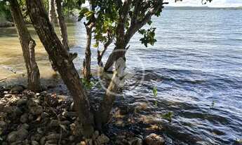 Imagem 3: Sítio à Venda - Beira do Lago do Manso