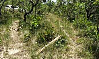 Imagem 5: Fazenda no Cerrado com Alto Potencial Produtivo Documentação em Dia