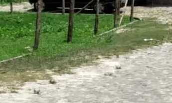 Imagem 6: Excelente terreno de esquina - Parque dos Faróis - Escriturado/Registrado