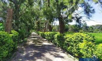 Imagem 5: Belíssimo sítio com 20094 m² em Ratones - Florianópolis/SC