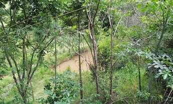 Imagem 3: Chácara à venda na estrada do Jararaca em Lorena