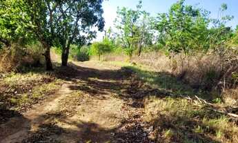 Imagem 6: Chácara à venda - 55 hectares (11 alqueires) - Palmas/TO