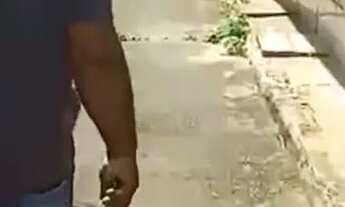 Imagem 2: Casa jardim Atlântico