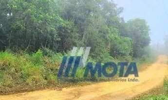 Imagem: Ótima área a venda Campo Largo 11,8 alqueires