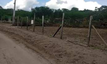 Imagem 4: Terreno para Venda localizado em São José Distrito de Maria Quiteria