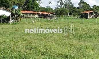Imagem: Venda Fazenda Fazenda Exemplo Cachoeira