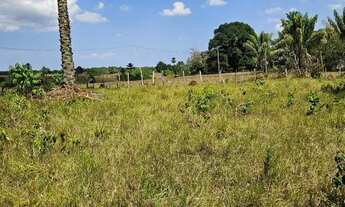 Imagem 5: Vendo sítio em Nazaré das farinha
