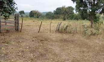 Imagem 7: FAZENDA (324 Hectares), EM VARGEM GRANDE MT