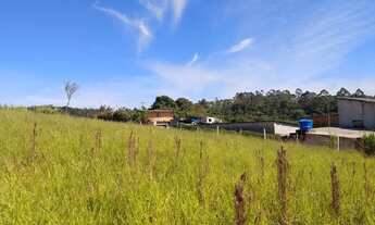 Imagem 4: Chácara em mogi