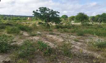 Imagem: 02 Tarefas no Povoado da Izabel na Baira